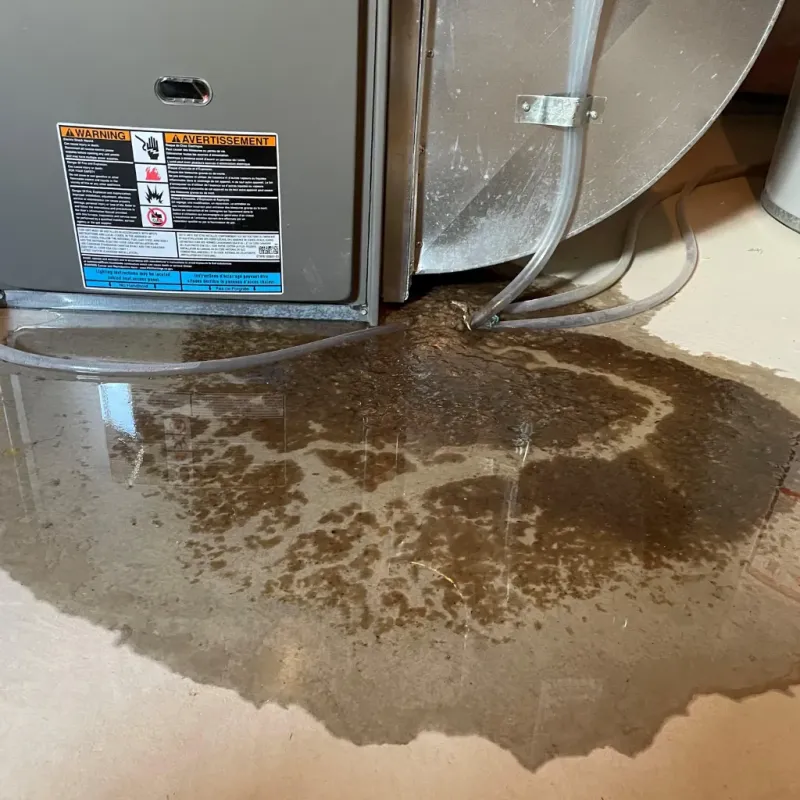 Appliance Leak Cleanup in Fairfield, OH